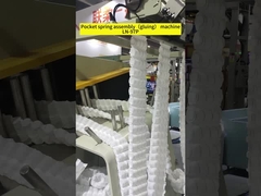 Máy lắp ráp lò xo túi（dán） LN-97P